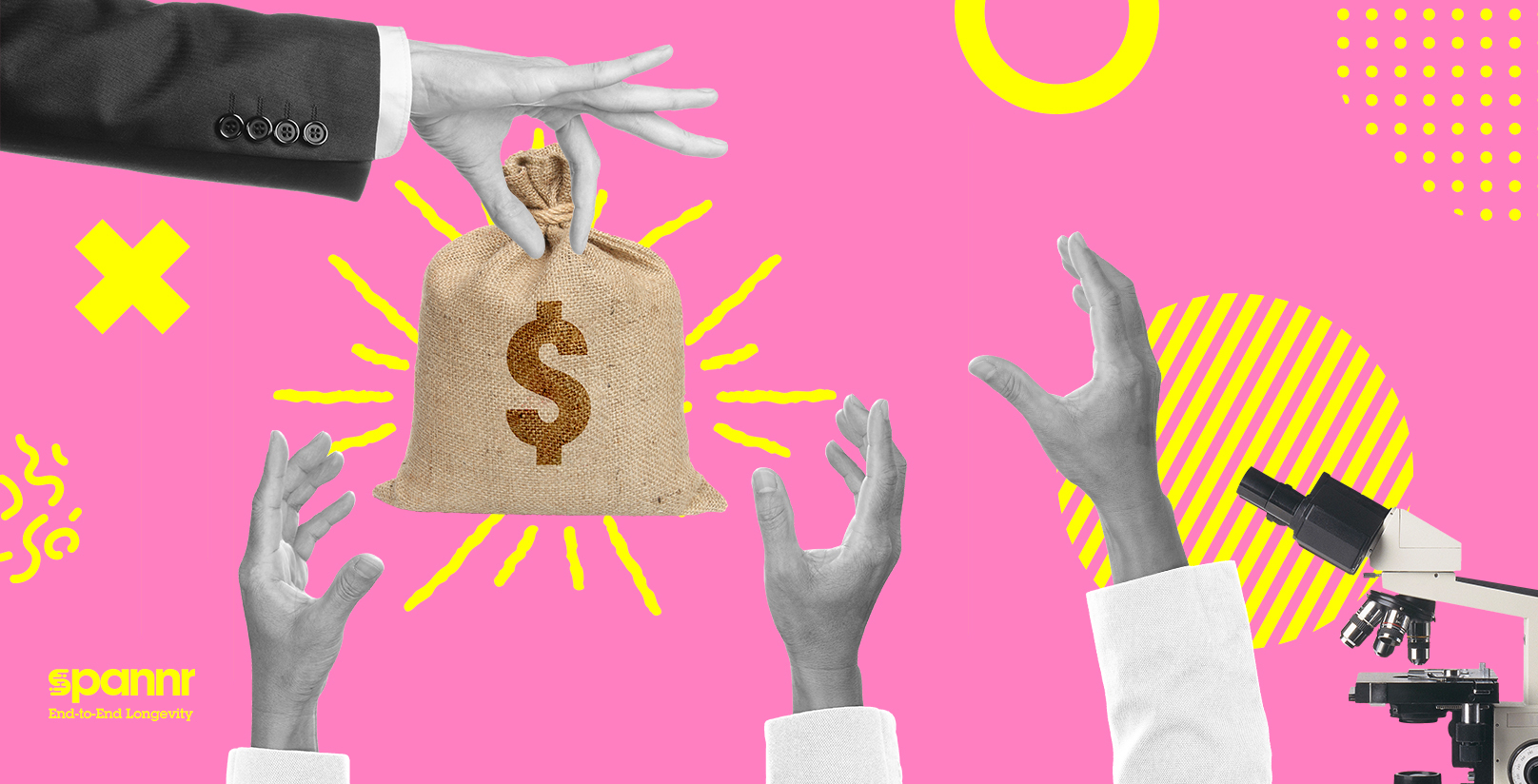 Analyzing One of Aging’s Biggest Dilemmas: The Lack of Government Funding