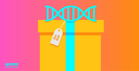 The Longevity Gift Guide: 15 Presents for a Lifetime of Health