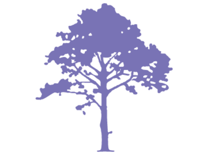 Renaissance Health Centre