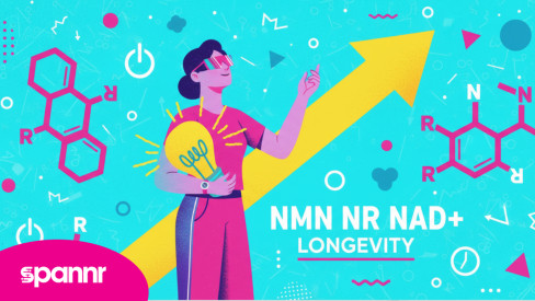 NMN vs NR: The Real Guide to Raising NAD⁺