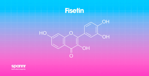 LongevitySupplements_Molecules_Fisetin