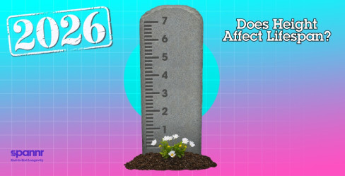 Do Shorter People Actually Live Longer? The Science Explained